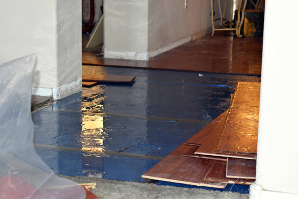 Professional Emergency Water Damage Restoration technician working in Worthington, KY